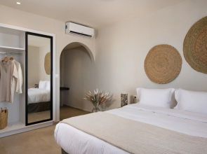 Bios Santorini Vegan - Vegetarian Boutique Hotel 