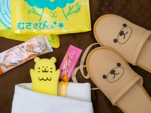 Отель Kyoto Brighton