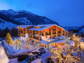 Hotel Alpina