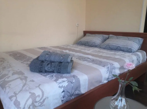 U Kliniki Meshalkina Apartments