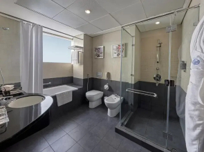 Отель Rose Rayhaan by Rotana