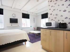 Reykjavik Central Apartments