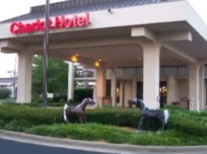 The Chariot Hotel