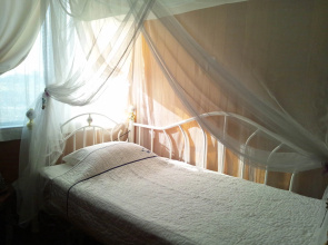 Milk-ya Guest House