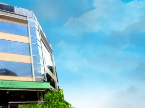 Ceo Suites