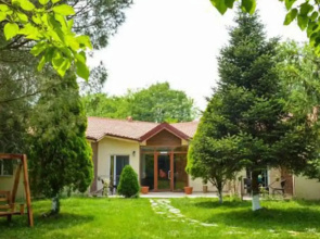 Alex Village Life