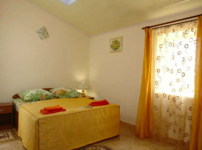 Arena Guest House