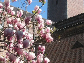 Pallotti Haus