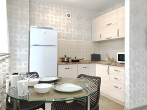 Na Nikitina Apartments