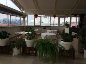 Аристократ (Сириус)