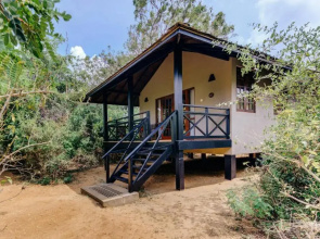 Cinnamon Wild Yala