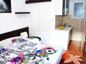 Apartment Milica