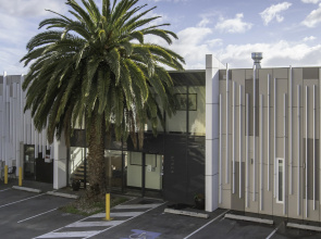 Areca Launceston 