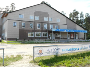 Metelica
