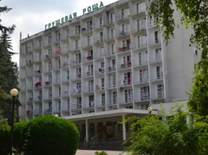 Health Resort Grushevaya Roshcha