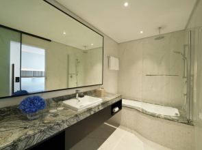 Отель Arabian Park Dubai, an Edge by Rotana Hotel