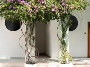 Sonido Del Mar Hotel and Yoga Loft