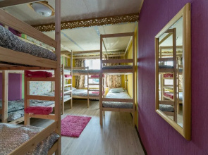 Crazy Monkey Hostel next to the Moscow Zoo