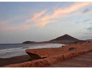 Отель Playa Sur Tenerife