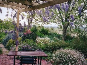 Sea and Vines Cottage