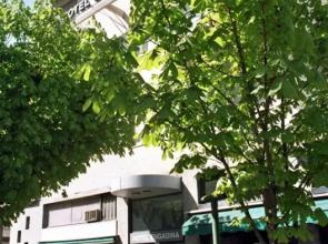 Hotel Engadina