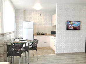 Na Nikitina Apartments