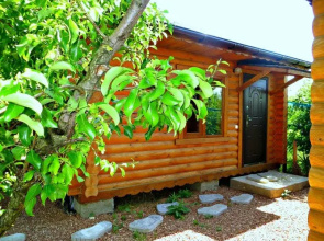 Eko Cottage