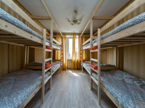Crazy Monkey Hostel next to the Moscow Zoo