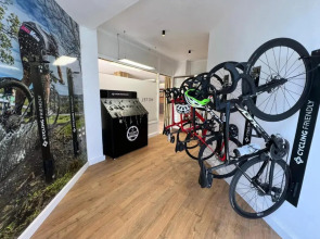 Отель Playa Sur Tenerife