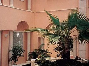 Club n1 Nice Côte d'Azur