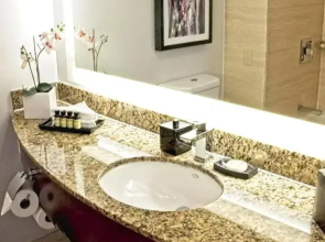 Pullman Miami Airport