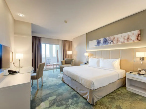 Отель Millennium Lakeview