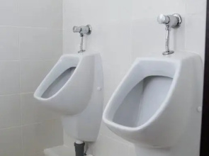 Жилые помещения Xl