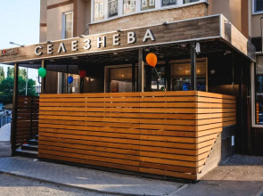 Hostel Selezneva