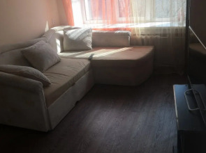 U Kliniki Meshalkina Apartments