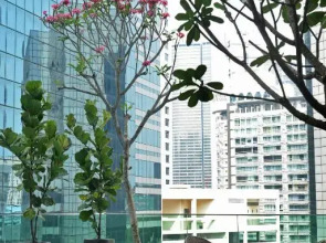 Verdant Hill Hotel Kuala Lumpur