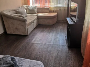 U Kliniki Meshalkina Apartments