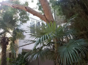 Guest House Yalta Prima