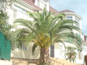Arabika Apart Hotel