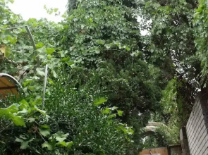 Гостевой дом Триера