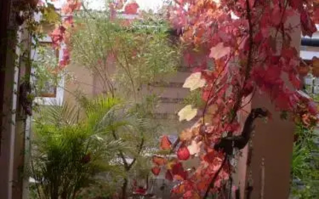 Anna Sophia Cottages