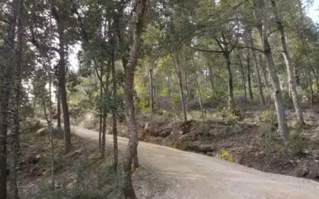 Agriturismo Ormanni Podere La Querce E Montignano