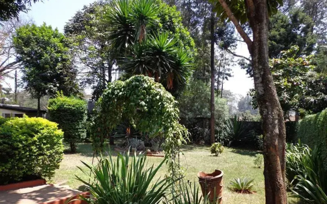 The Bargain Bungalow