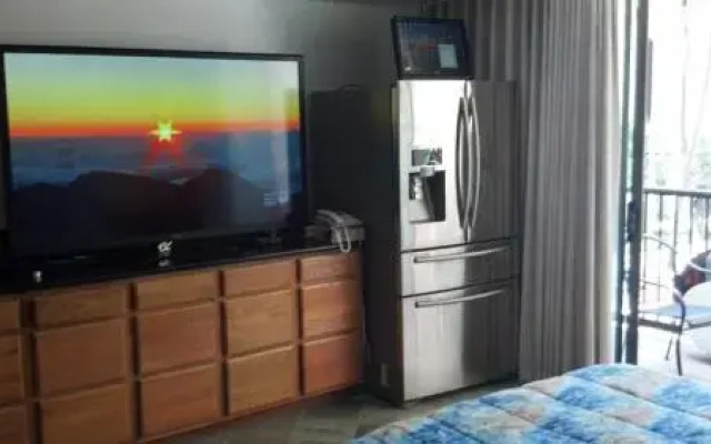 Waikiki Beach Apartment #225