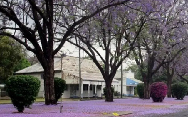 Helidon Mineral Spa Resort