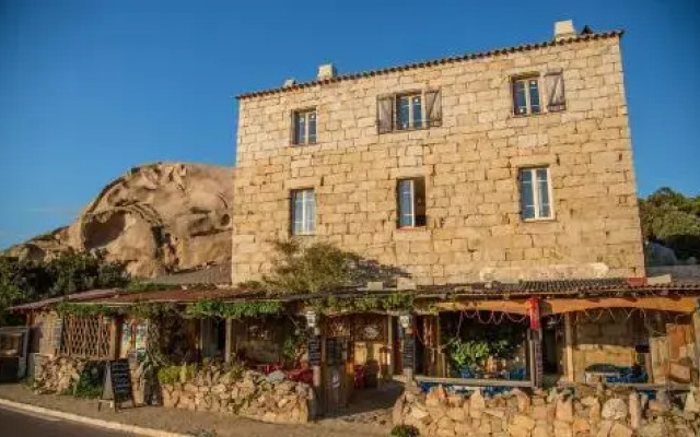 L'oasis du Lion