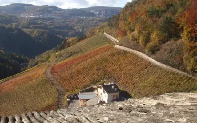 Agriturismo Maso Besleri