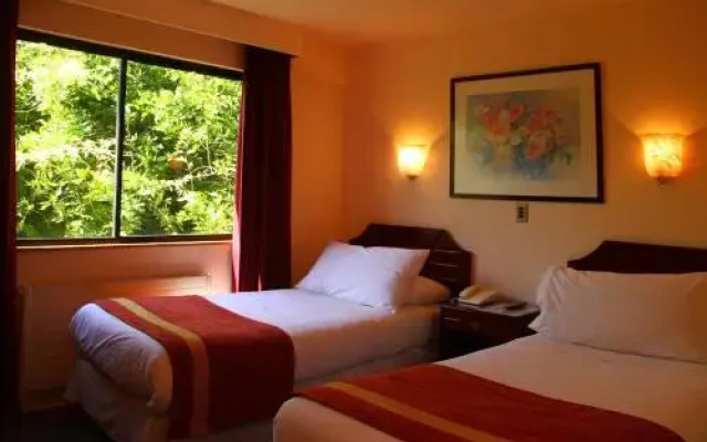 Hotel Palmas Express B&B