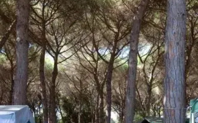 Camping Village Africa