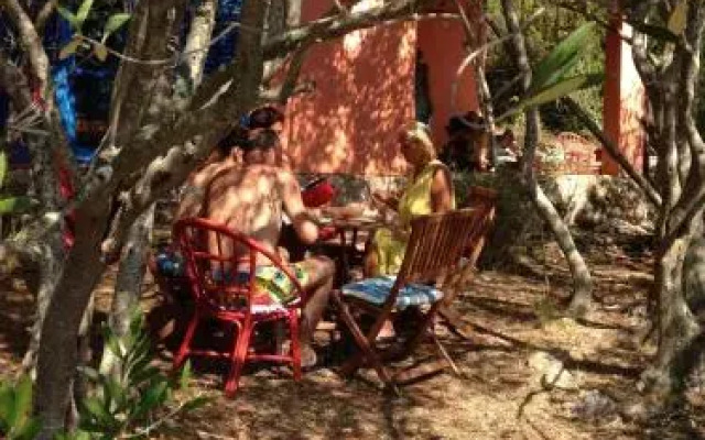 Dove's house